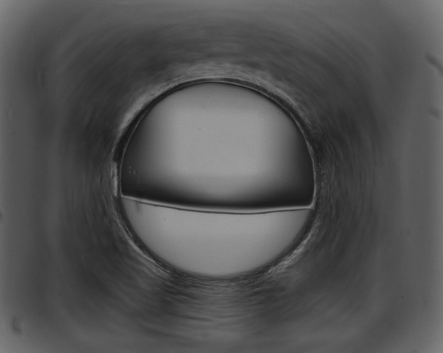 X0000097641509200802290810