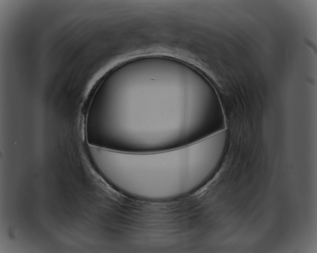 X0000097641510200802290810