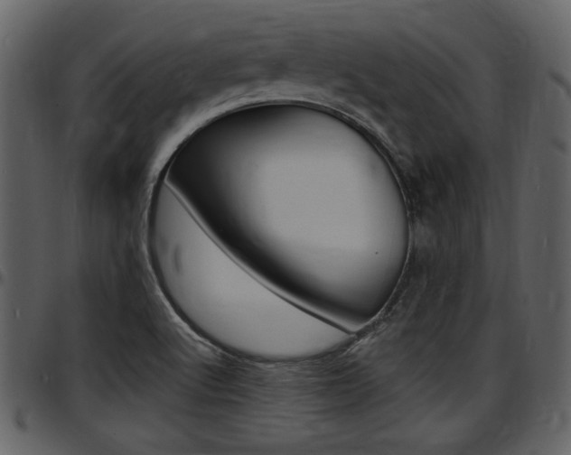 X0000097641512200802290810