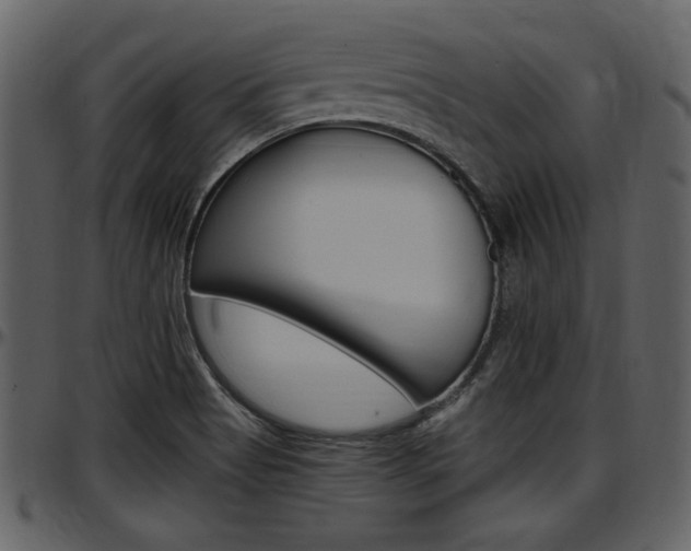 X0000097641513200802290810