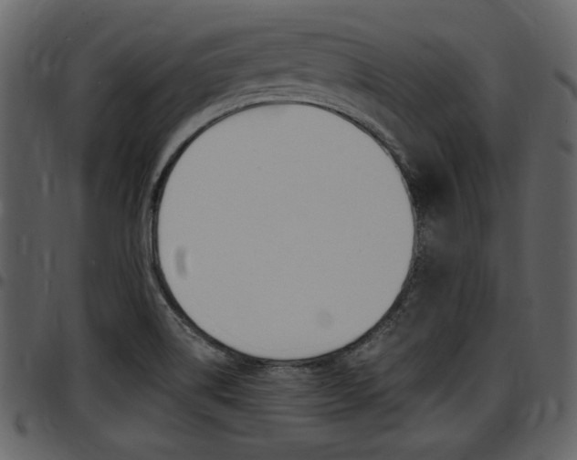 X0000097641514200802290810