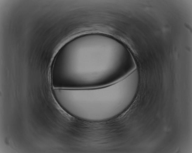 X0000097641516200802290810