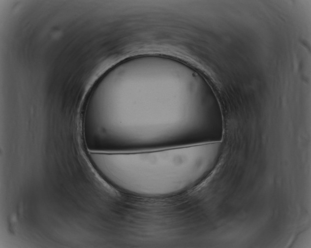 X0000097641517200802290810