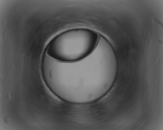 X0000097641518200802290810