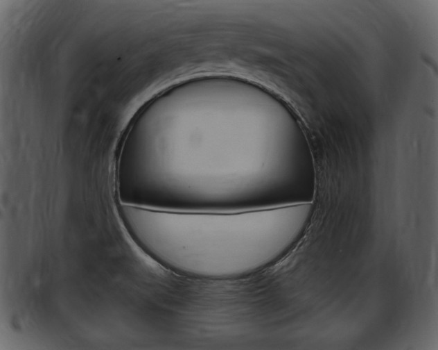 X0000097641519200802290810
