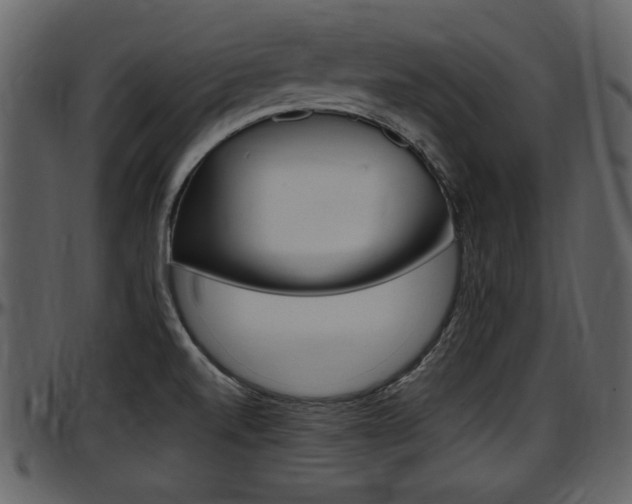 X0000097641520200802290810