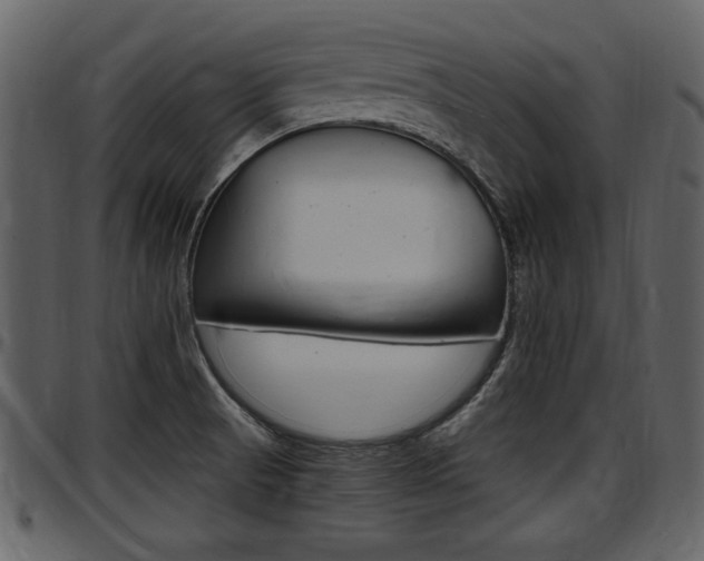X0000097641521200802290810