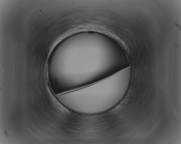X0000097641522200802290810