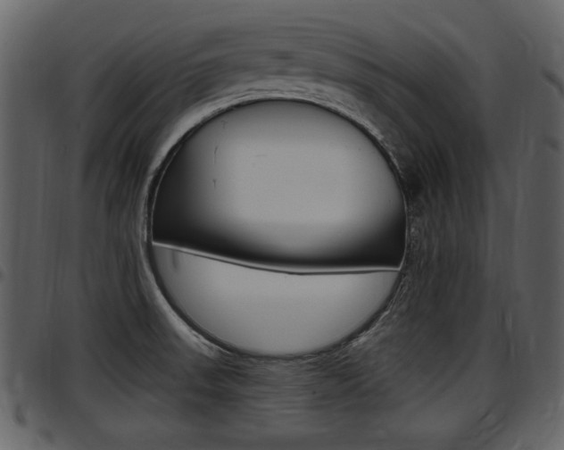 X0000097641523200802290810