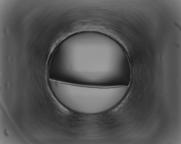 X0000097641525200802290810