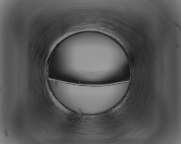 X0000097641526200802290810