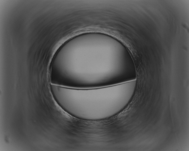 X0000097641527200802290810