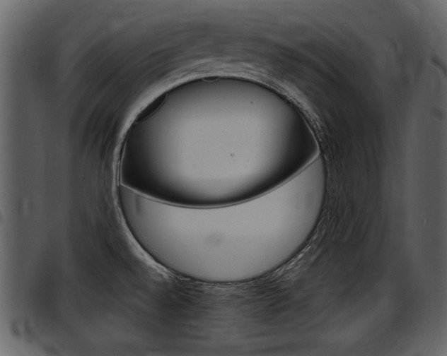 X0000097641528200802290810