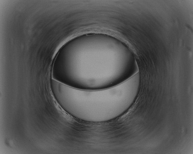 X0000097641530200802290810