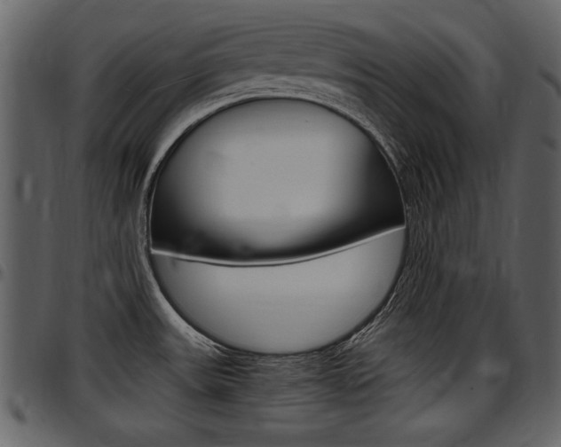 X0000097641531200802290810