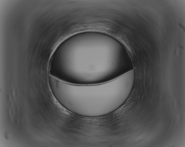 X0000097641532200802290810