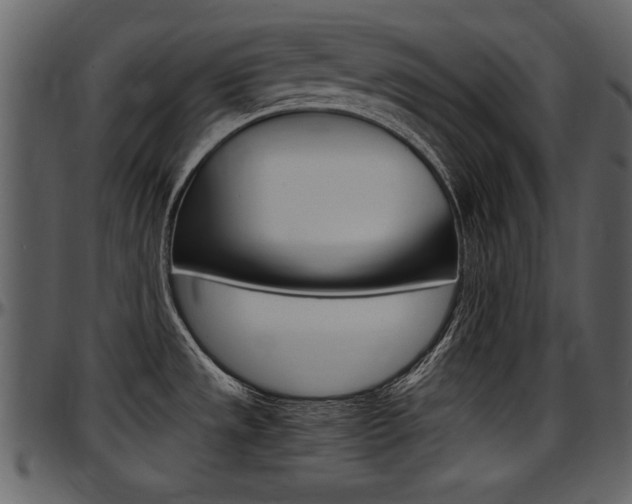 X0000097641533200802290810
