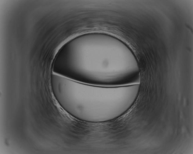 X0000097641534200802290810