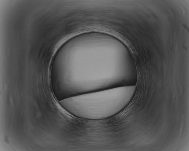 X0000097641535200802290810