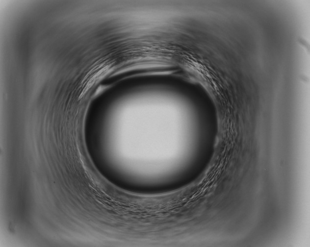 X0000097640001200802291416