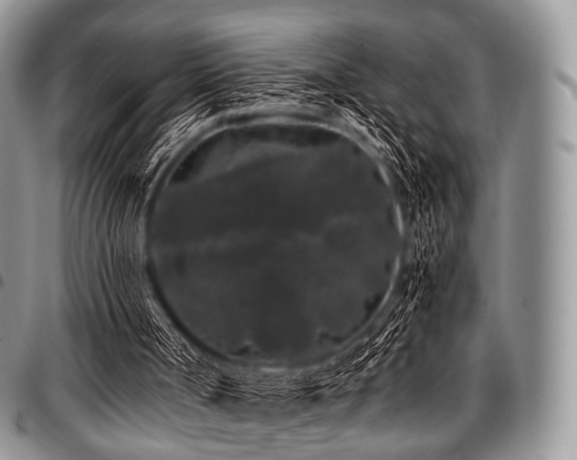 X0000097640002200802291416