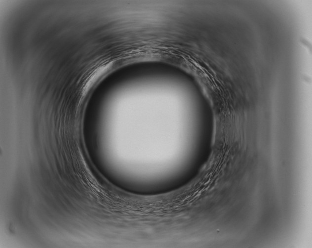 X0000097640003200802291416