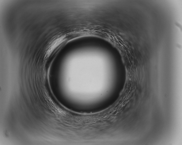 X0000097640005200802291416