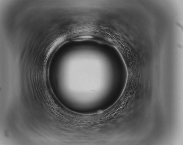 X0000097640006200802291416