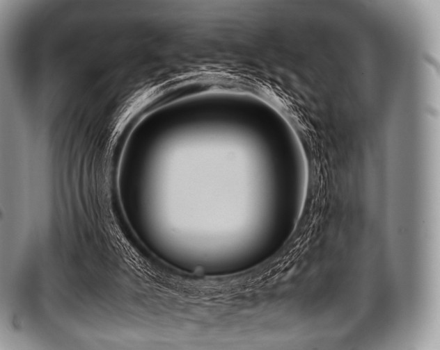 X0000097640007200802291416