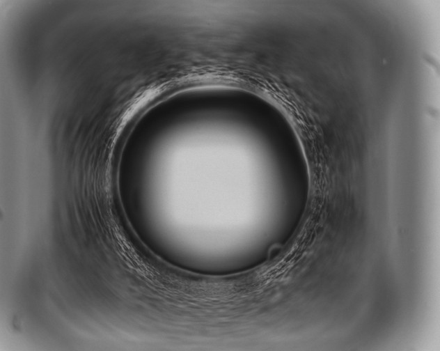 X0000097640008200802291416