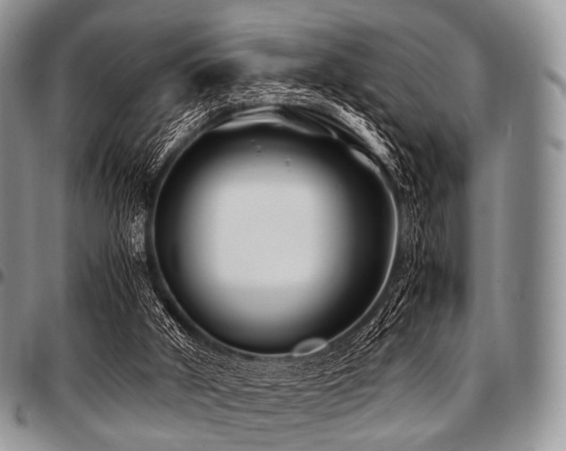 X0000097640010200802291416