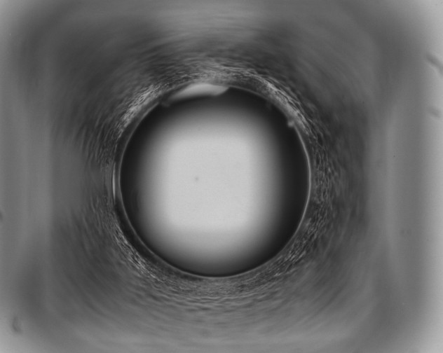 X0000097640011200802291416