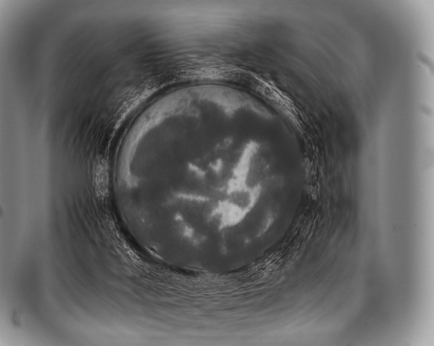 X0000097640012200802291416