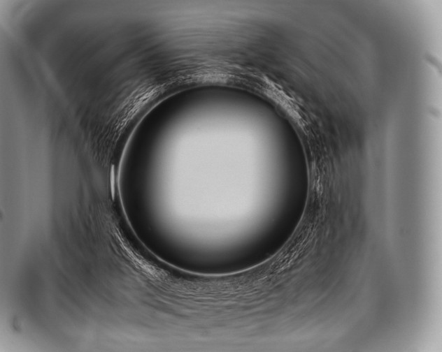 X0000097640013200802291416