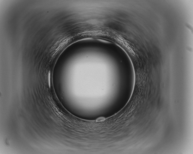 X0000097640014200802291416