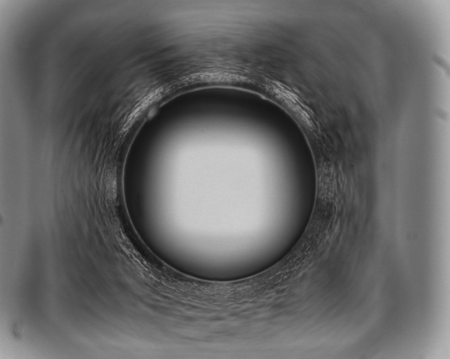 X0000097640015200802291416