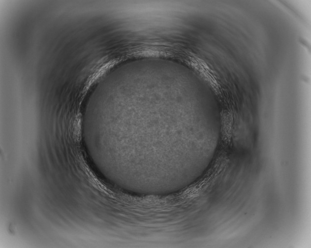 X0000097640016200802291416