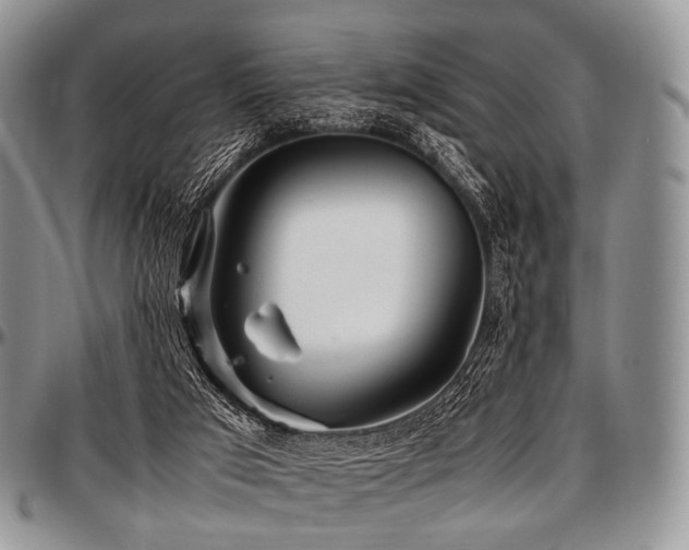 X0000097640017200802291416