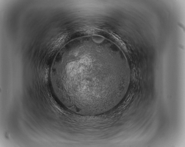 X0000097640018200802291416