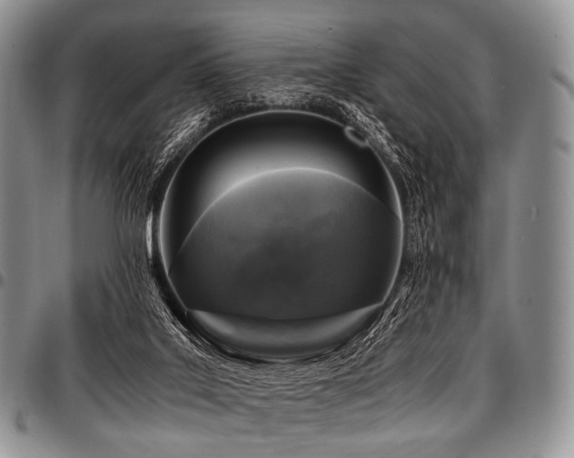 X0000097640019200802291416