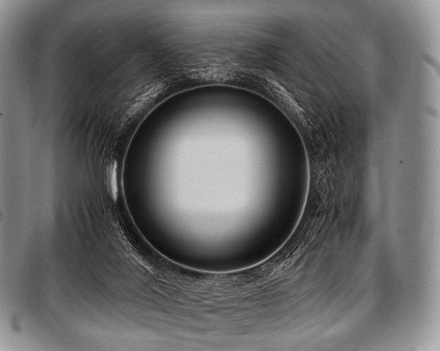 X0000097640020200802291416