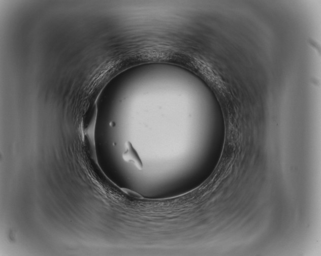 X0000097640021200802291416