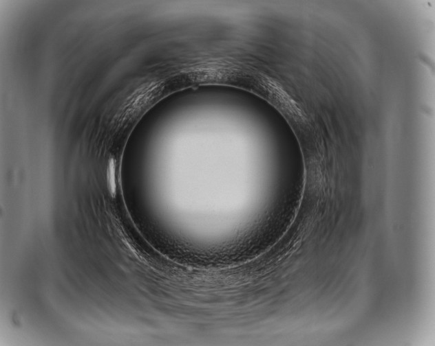 X0000097640022200802291416