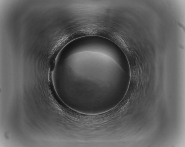 X0000097640023200802291416