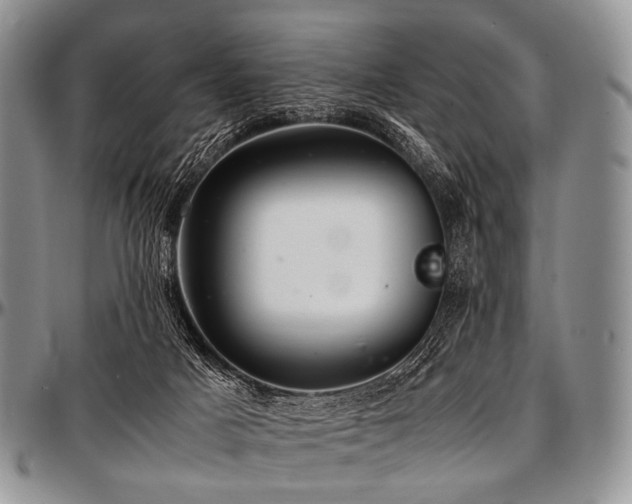 X0000097640025200802291416