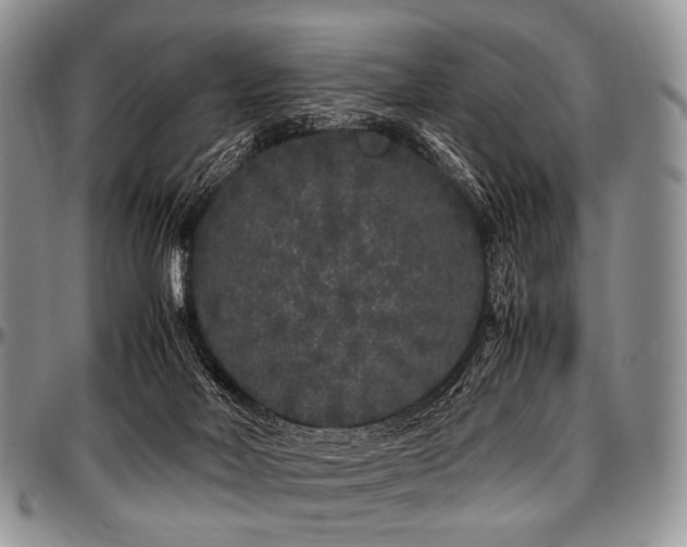 X0000097640026200802291416