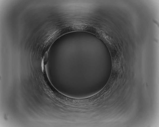 X0000097640027200802291416