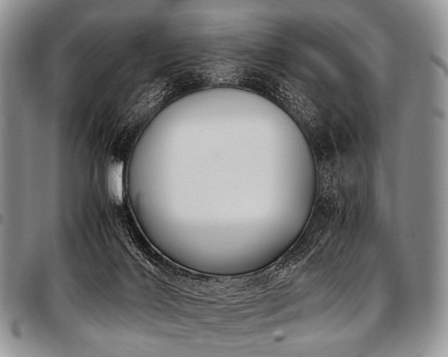 X0000097640028200802291416