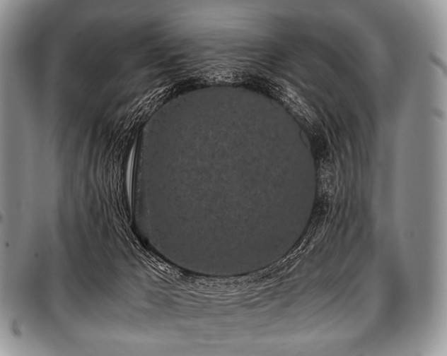 X0000097640029200802291416