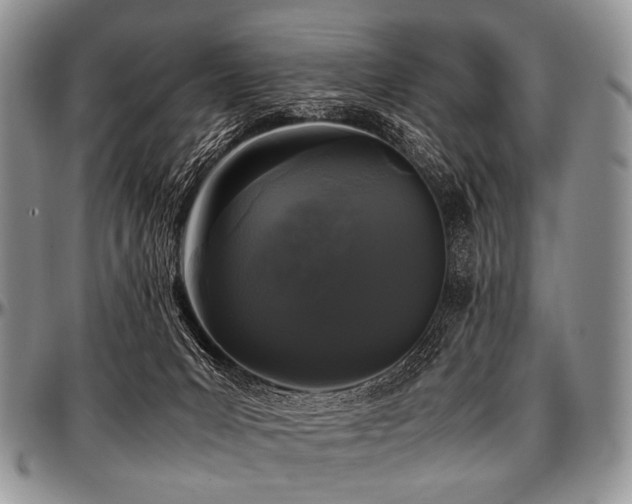 X0000097640031200802291416